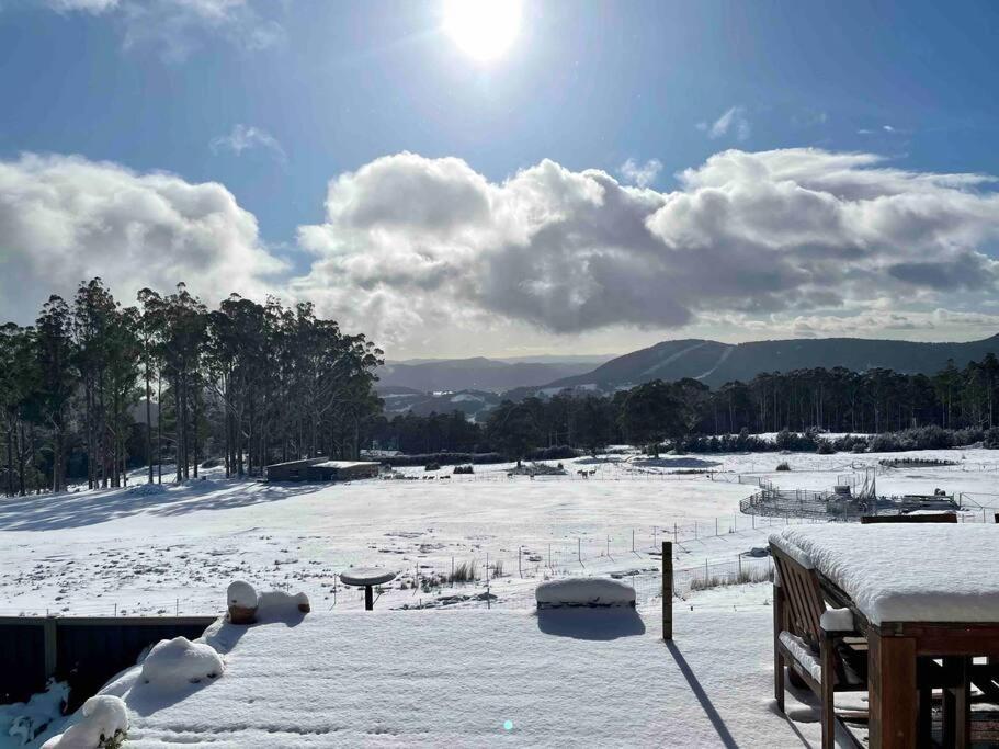 Amaroo With A View Set On A 50 Acre Hobby Farm Collinsvale Exterior foto