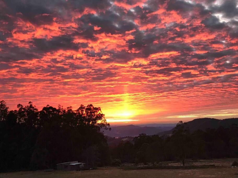 Amaroo With A View Set On A 50 Acre Hobby Farm Collinsvale Exterior foto