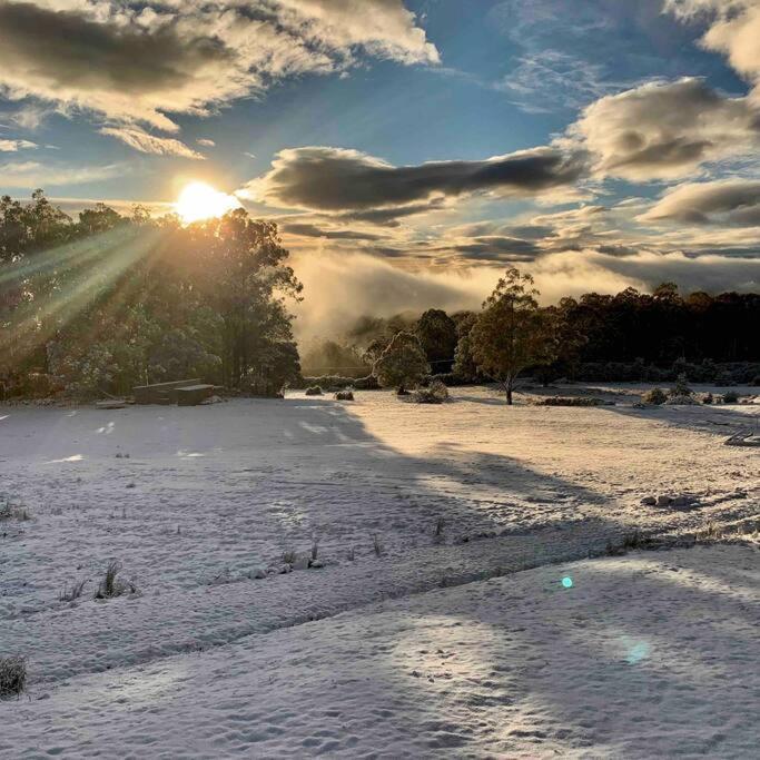 Amaroo With A View Set On A 50 Acre Hobby Farm Collinsvale Exterior foto