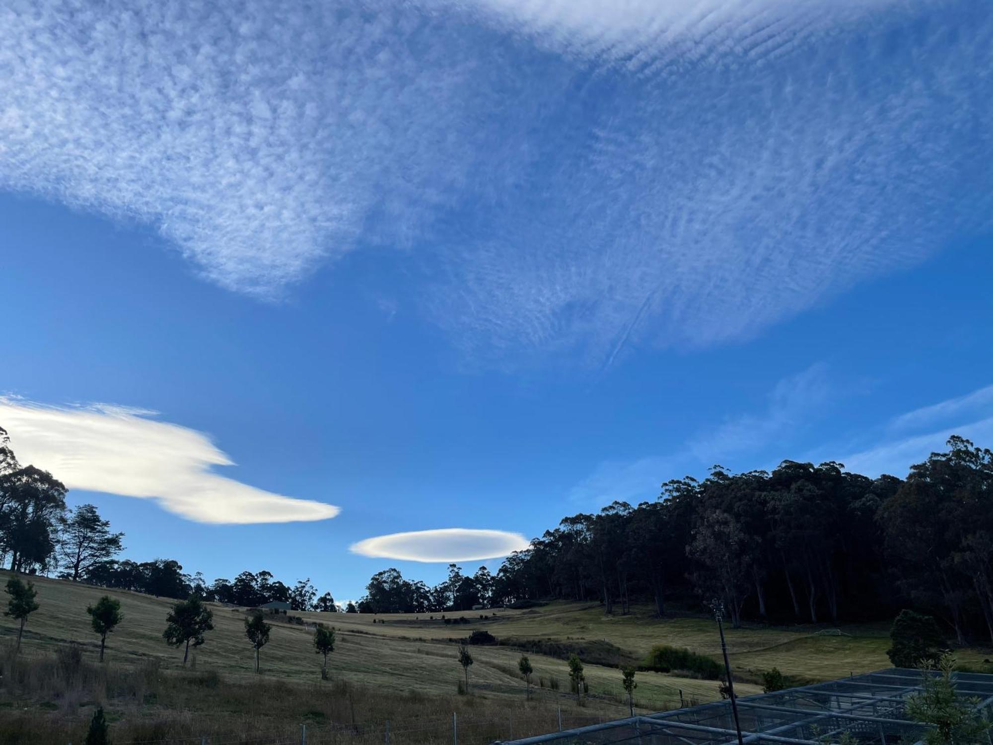 Amaroo With A View Set On A 50 Acre Hobby Farm Collinsvale Exterior foto
