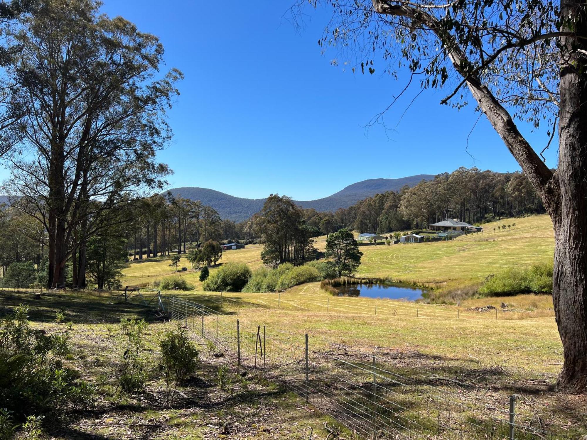 Amaroo With A View Set On A 50 Acre Hobby Farm Collinsvale Exterior foto
