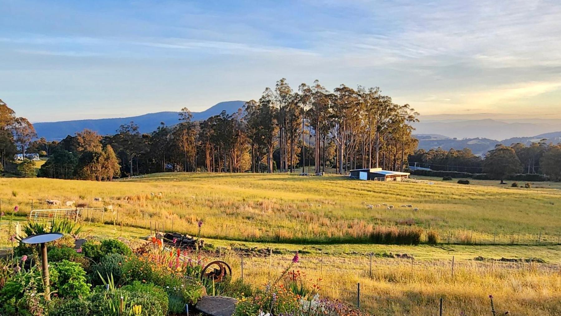 Amaroo With A View Set On A 50 Acre Hobby Farm Collinsvale Exterior foto