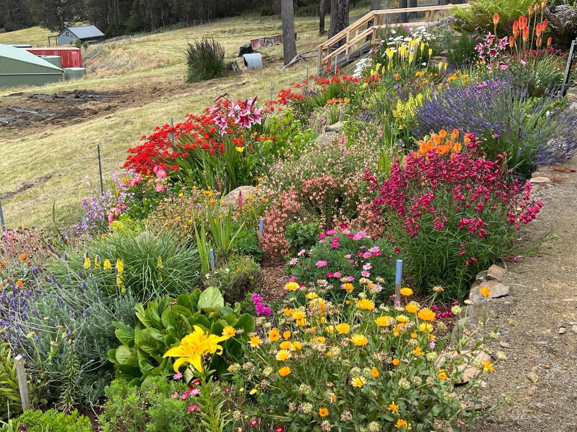 Amaroo With A View Set On A 50 Acre Hobby Farm Collinsvale Exterior foto