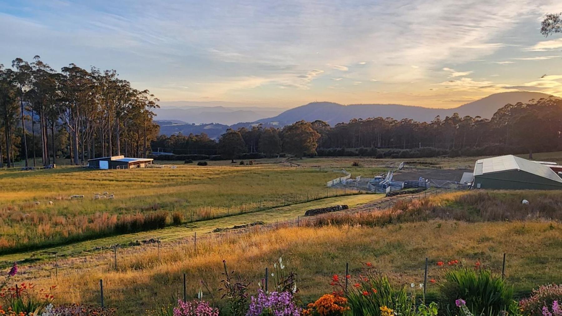 Amaroo With A View Set On A 50 Acre Hobby Farm Collinsvale Exterior foto