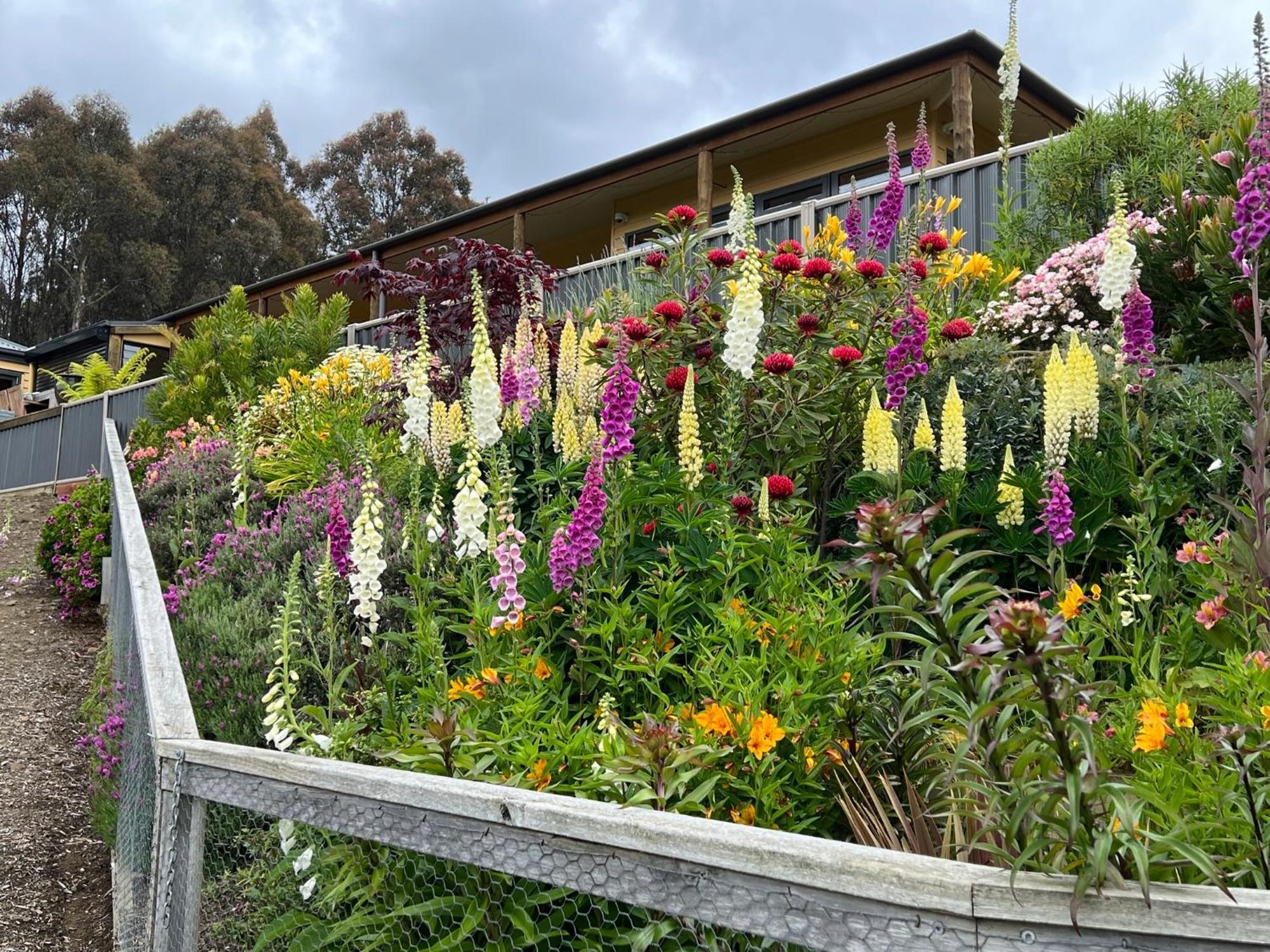 Amaroo With A View Set On A 50 Acre Hobby Farm Collinsvale Exterior foto