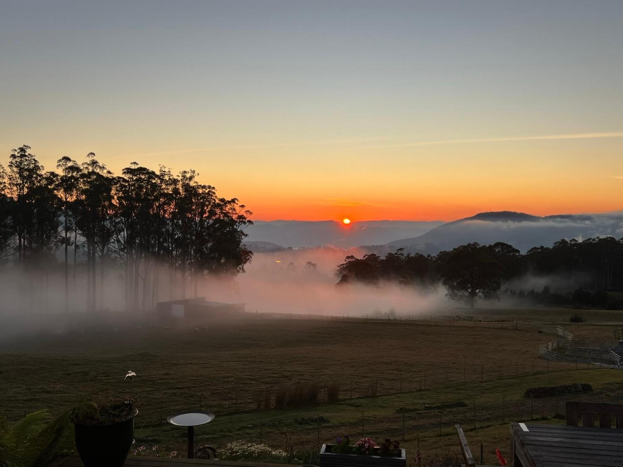 Amaroo With A View Set On A 50 Acre Hobby Farm Collinsvale Exterior foto
